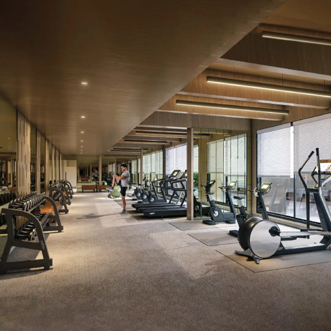 Gymnasium